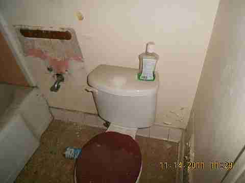 7485 American (25)_m.jpg